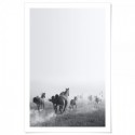 Wild Horses Run Free Art Print