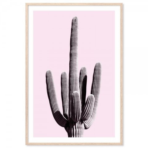 Blush Pink Cactus Art Print