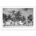 Miami Beach Ocean Drive Art Print