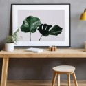 Monstera Leaves Art Print