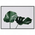 Monstera Leaves Art Print