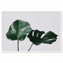 Monstera Leaves Art Print