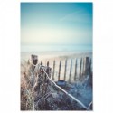 Broken Fence Beach Art Print