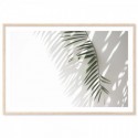 Minimalist Palm Tree Shadow Art Print