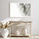 Minimalist Palm Tree Shadow Art Print