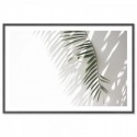 Minimalist Palm Tree Shadow Art Print