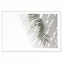 Minimalist Palm Tree Shadow Art Print