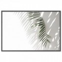 Minimalist Palm Tree Shadow Art Print