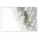 Minimalist Palm Tree Shadow Art Print