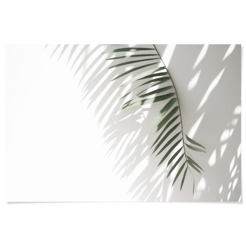 Minimalist Palm Tree Shadow Art Print