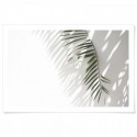 Minimalist Palm Tree Shadow Art Print