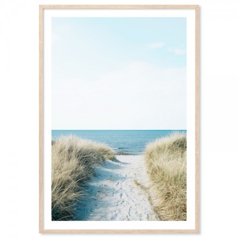 Beach Pathway Art Print