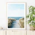 Beach Pathway Art Print