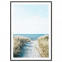 Beach Pathway Art Print