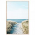 Beach Pathway Art Print