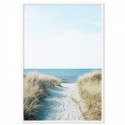 Beach Pathway Art Print