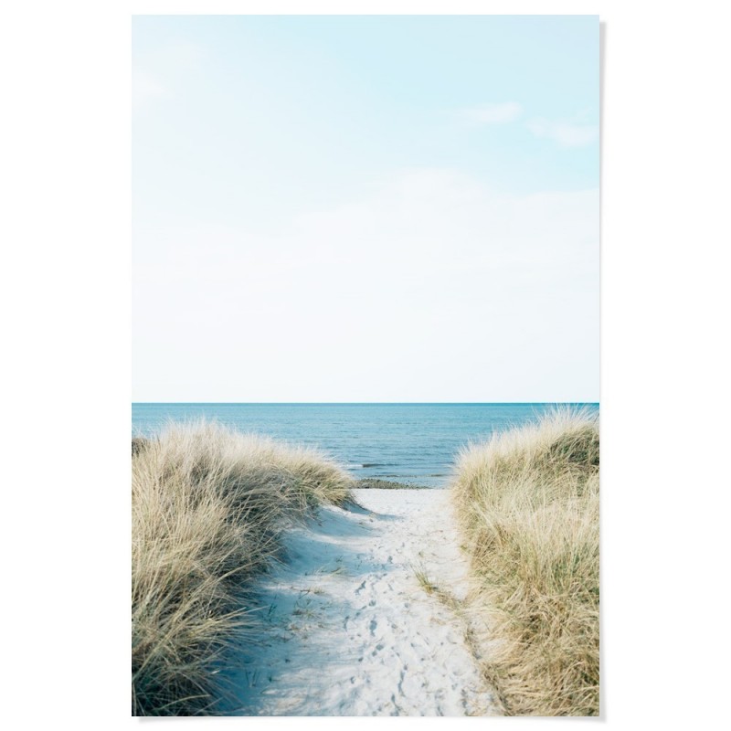 Beach Pathway Art Print