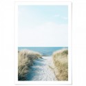 Beach Pathway Art Print