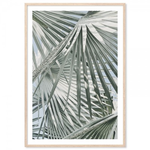 Sage Palm Leaves Art Print