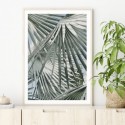 Sage Palm Leaves Art Print