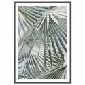 Sage Palm Leaves Art Print