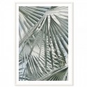 Sage Palm Leaves Art Print