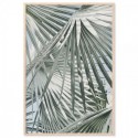 Sage Palm Leaves Art Print