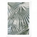 Sage Palm Leaves Art Print