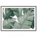 Tropical Leaves Illustration Art Print