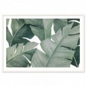 Tropical Leaves Illustration Art Print