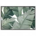 Tropical Leaves Illustration Art Print