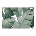 Tropical Leaves Illustration Art Print