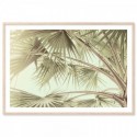 Tropical Palm Art Print