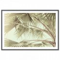 Tropical Palm Art Print