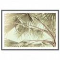 Tropical Palm Art Print