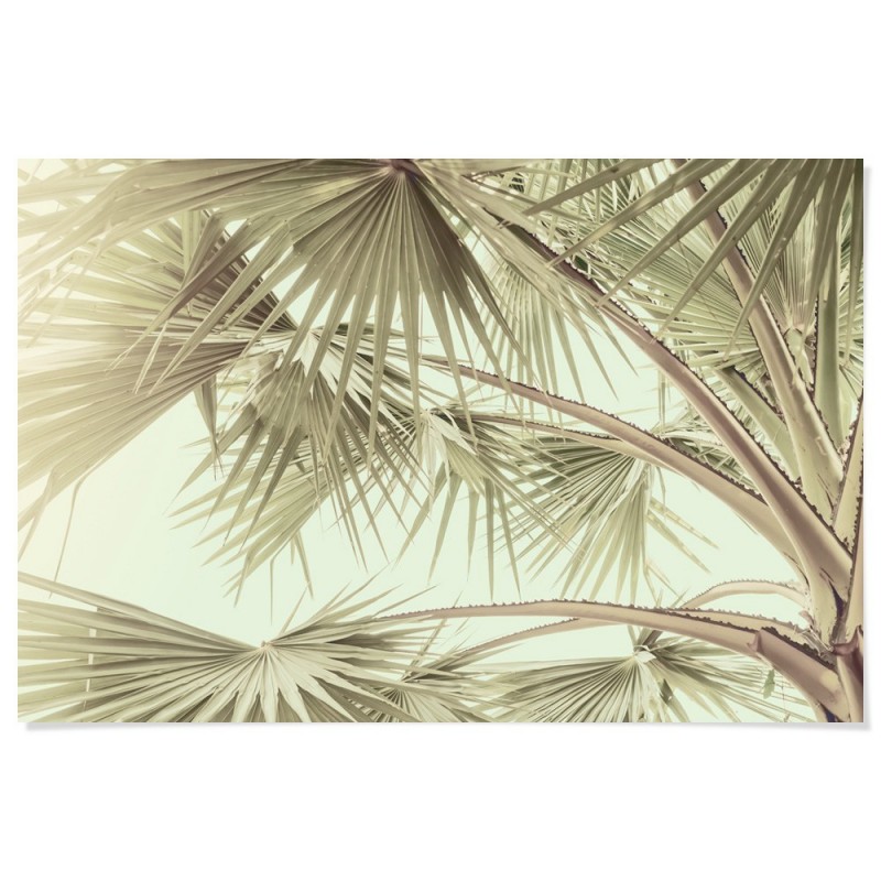 Tropical Palm Art Print