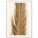 Dried Palm Leaf Art Print