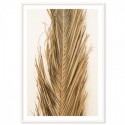 Dried Palm Leaf Art Print