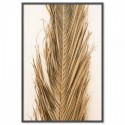 Dried Palm Leaf Art Print