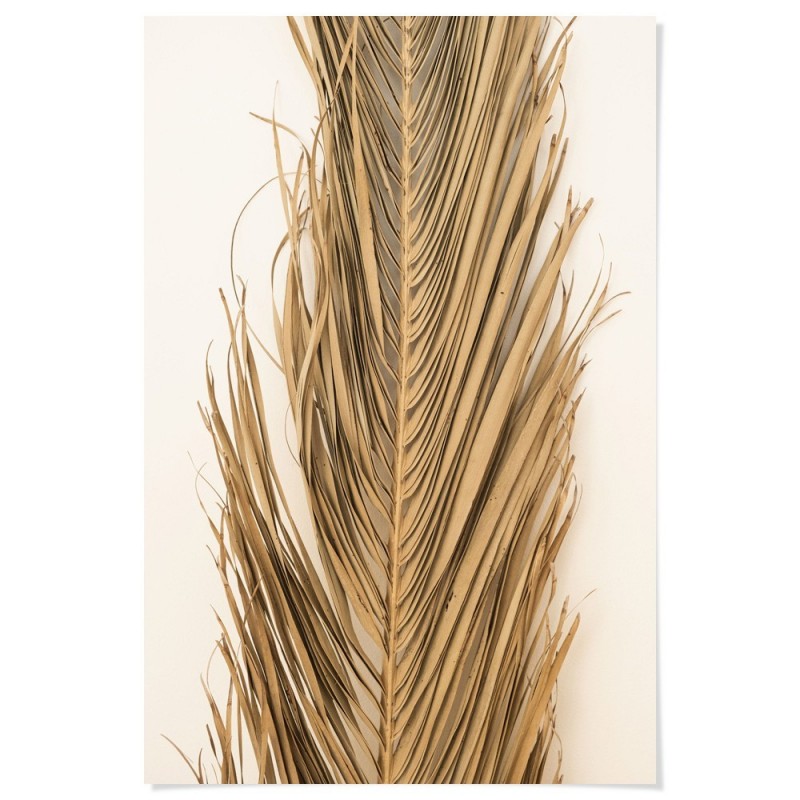 Dried Palm Leaf Art Print