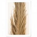 Dried Palm Leaf Art Print