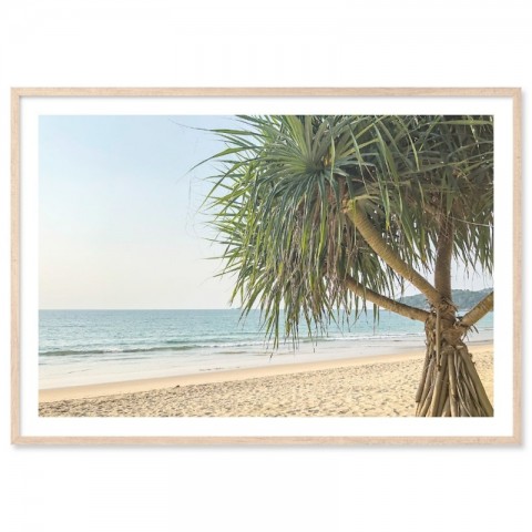 Pandanus Beach Art Print