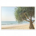 Pandanus Beach Art Print