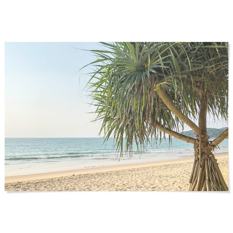 Pandanus Beach Art Print