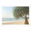 Pandanus Beach Art Print