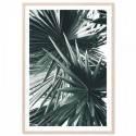 Sculptural Palm Leaves Art Print