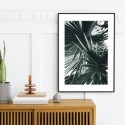 Sculptural Palm Leaves Art Print