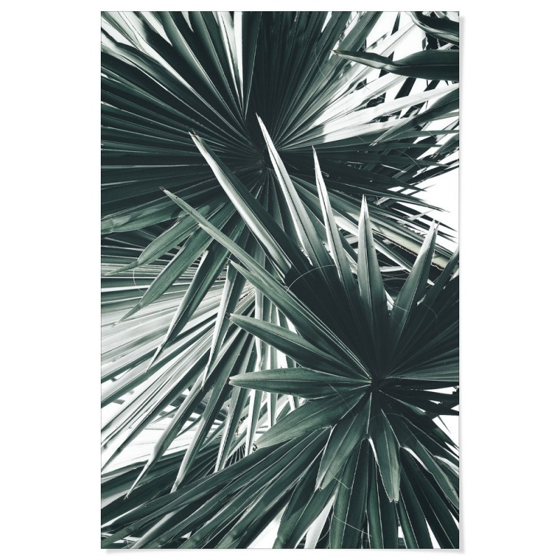 Sculptural Palm Leaves Art Print