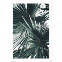 Sculptural Palm Leaves Art Print