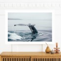 Whale At Sea Art Print